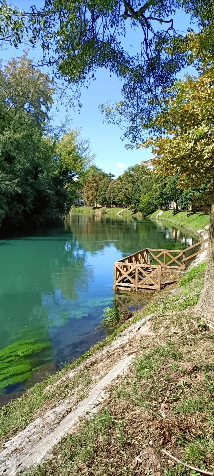 Amalteo 3 Apartment Treviso Bagian luar foto