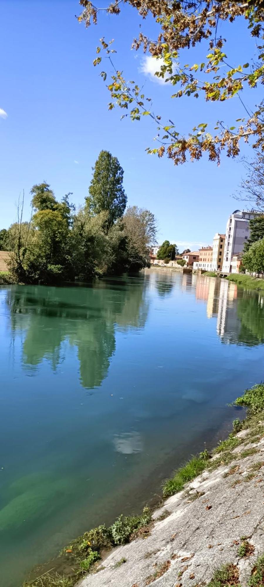 Amalteo 3 Apartment Treviso Bagian luar foto