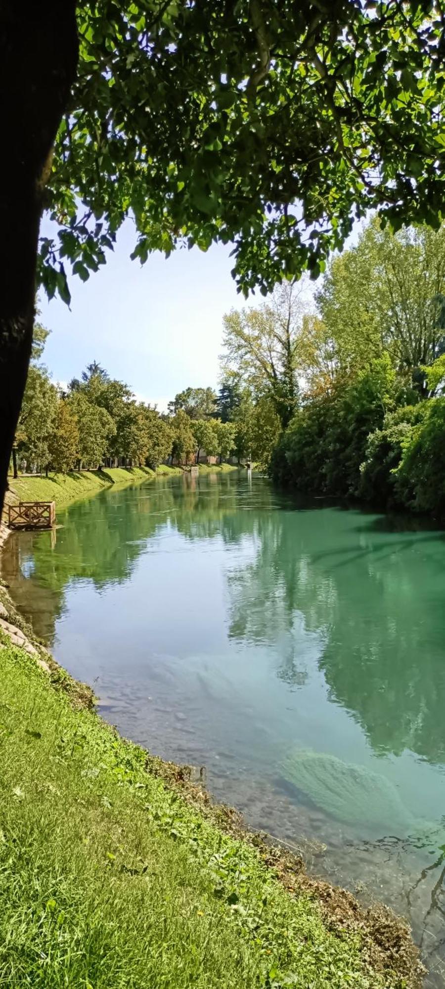 Amalteo 3 Apartment Treviso Bagian luar foto